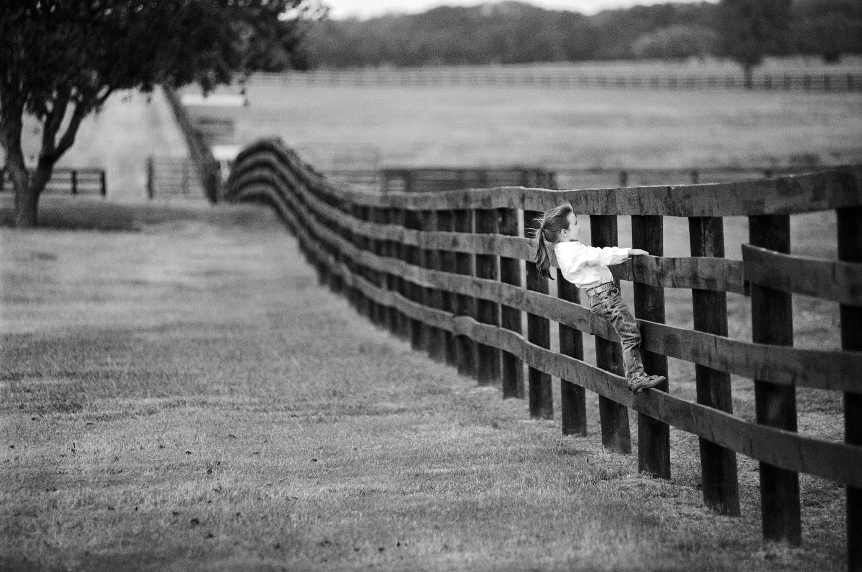 CowgirlDreams